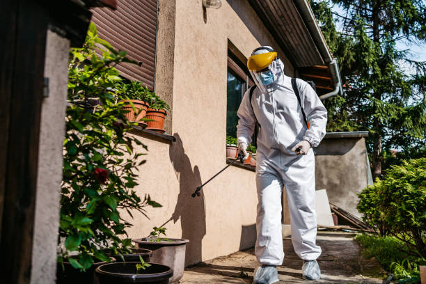 Best Insect Control  in Morristown, TN